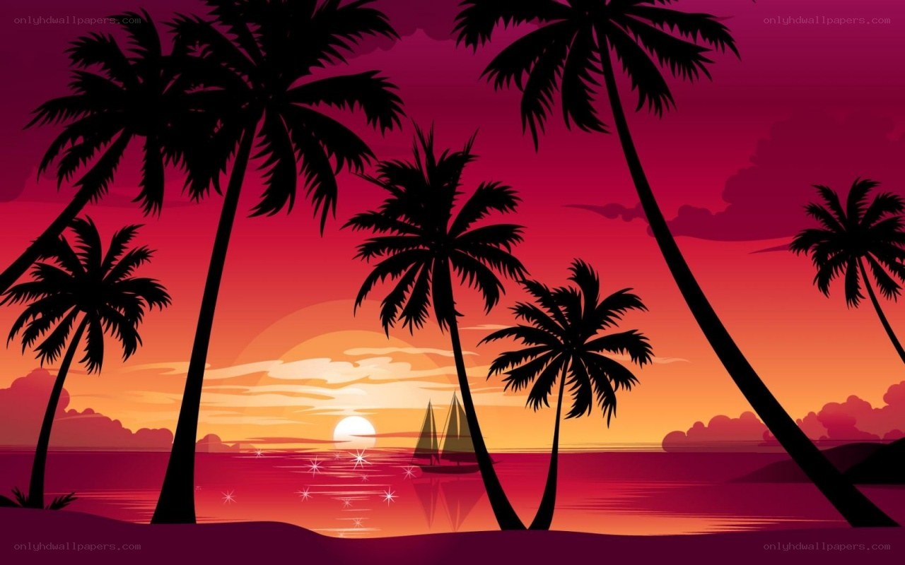 tropical sunset with palm trees