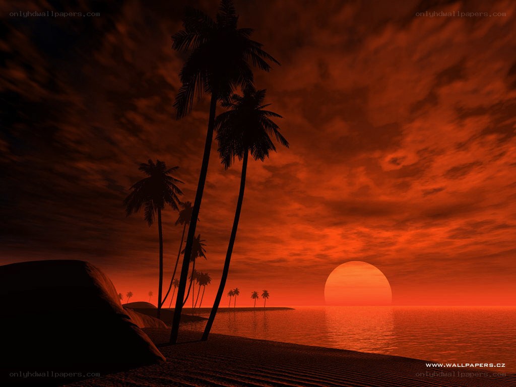 tropical sunset with palm trees