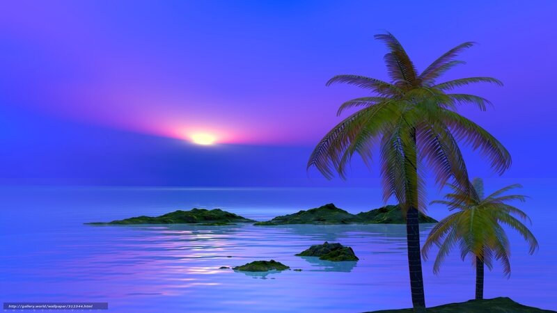 Tropical sunset with palm trees