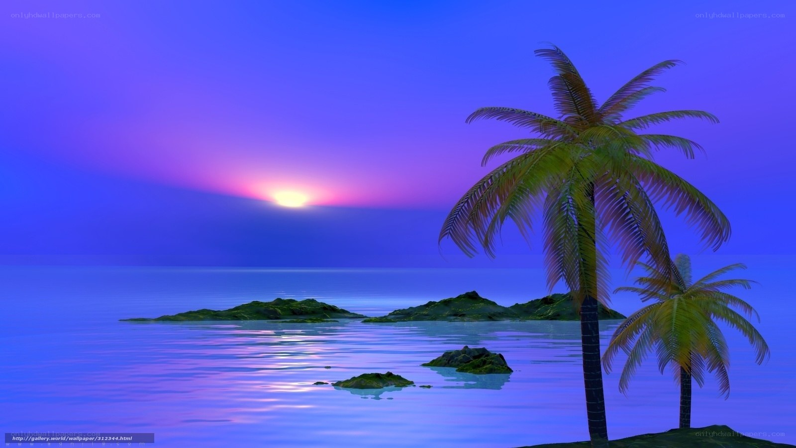 Tropical sunset with palm trees