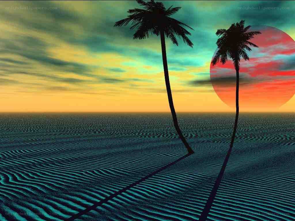 tropical sunset with palm trees
