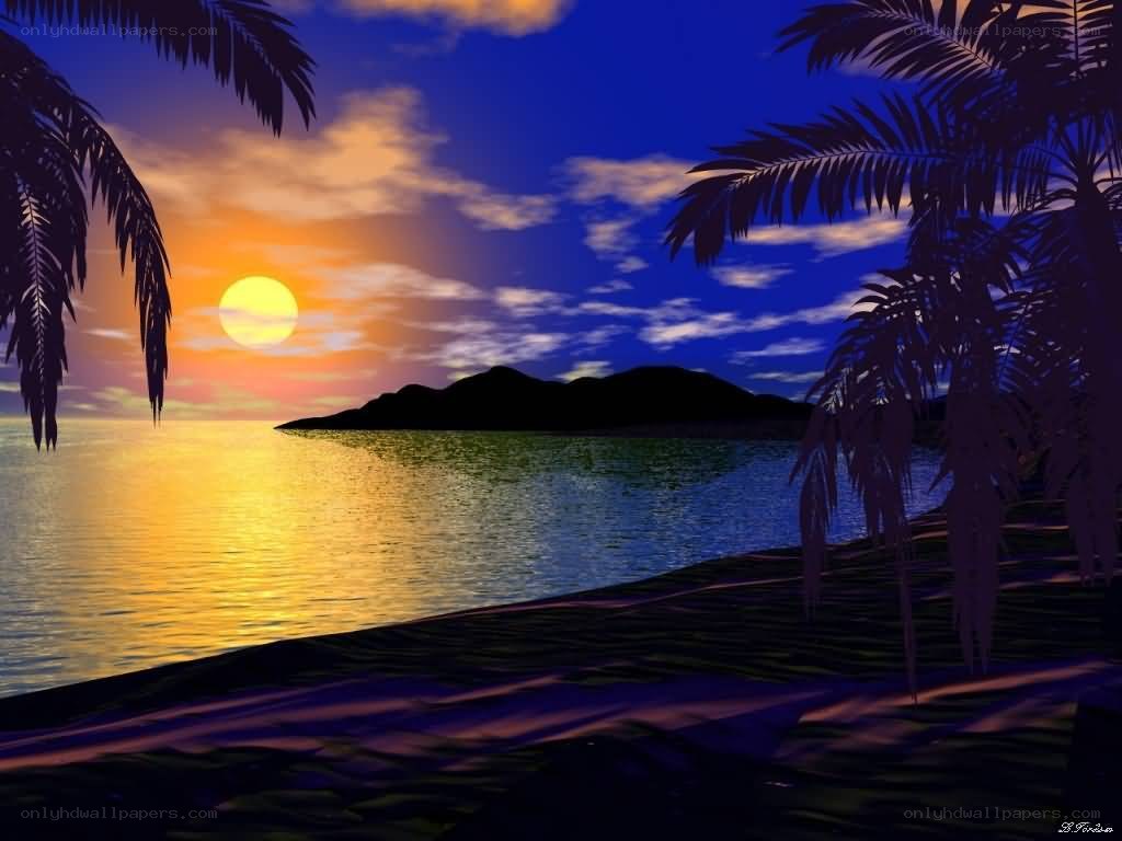tropical sunset with palm trees