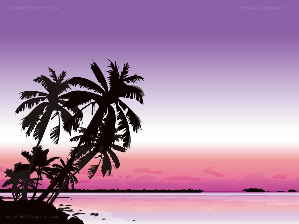 tropical sunset with palm trees