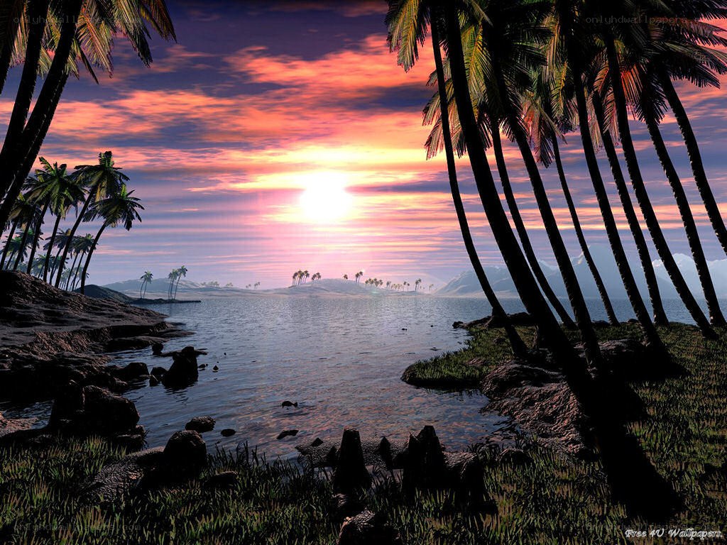Tropical sunset with palm trees