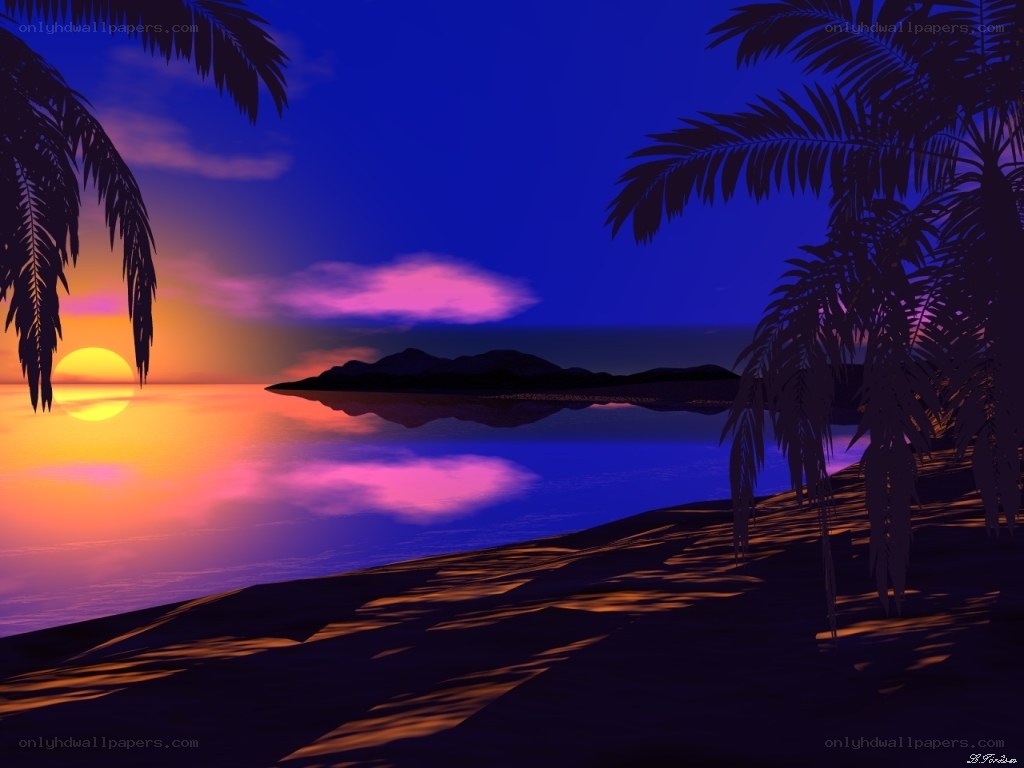 tropical sunset with palm trees