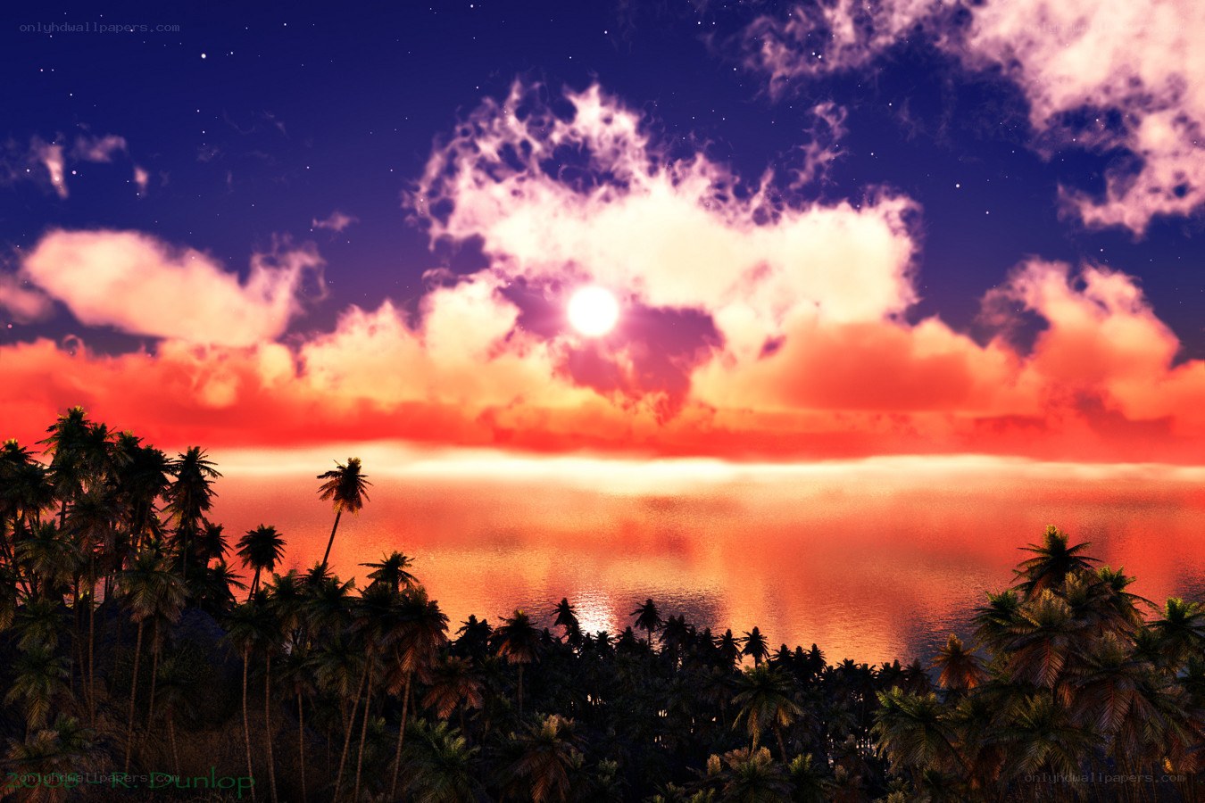 Tropical sunset with palm trees