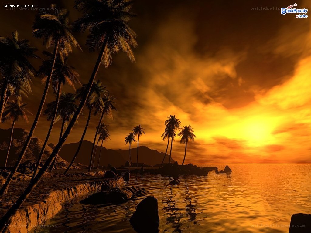 tropical sunset with palm trees