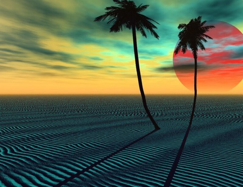 tropical sunset with palm trees
