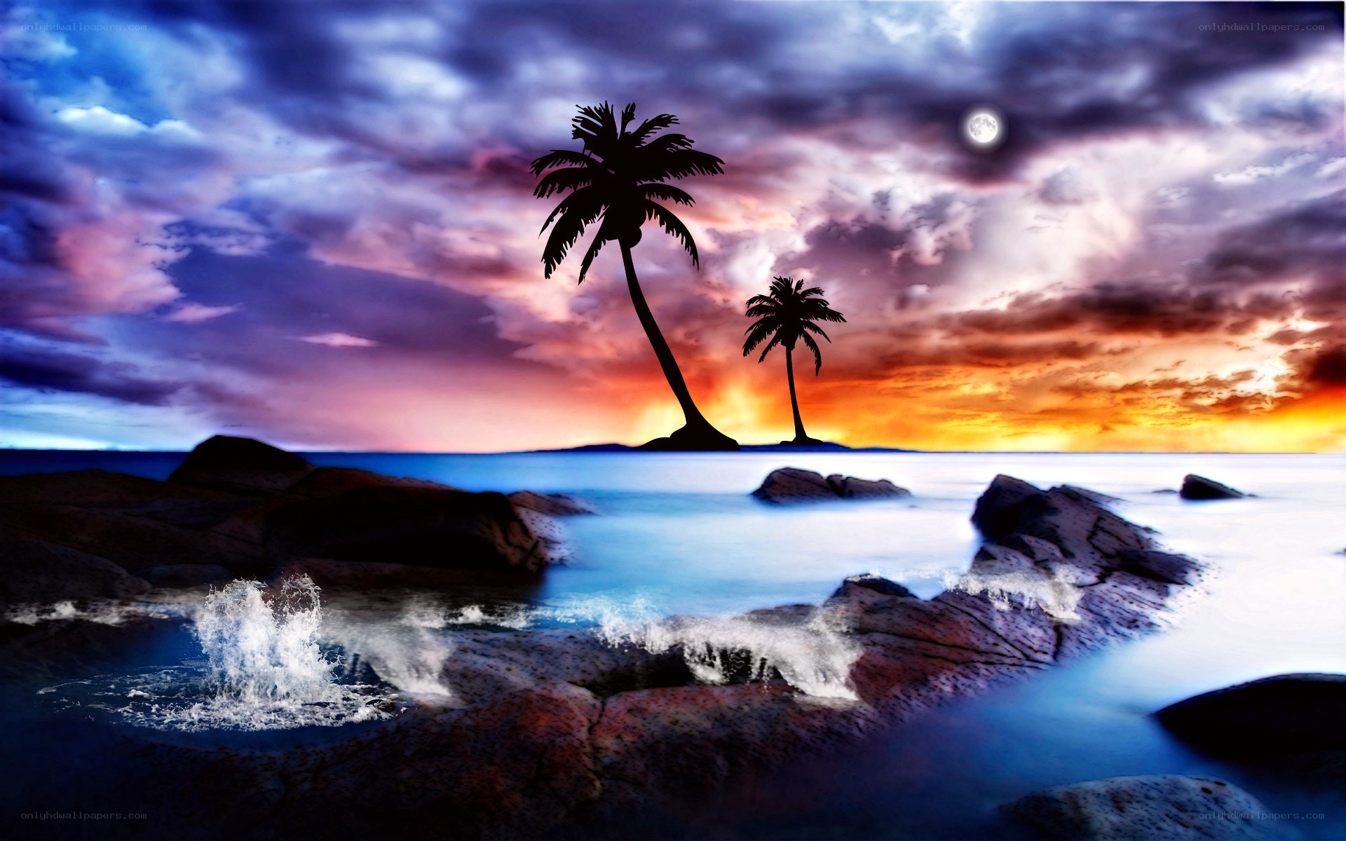 tropical sunset with palm trees