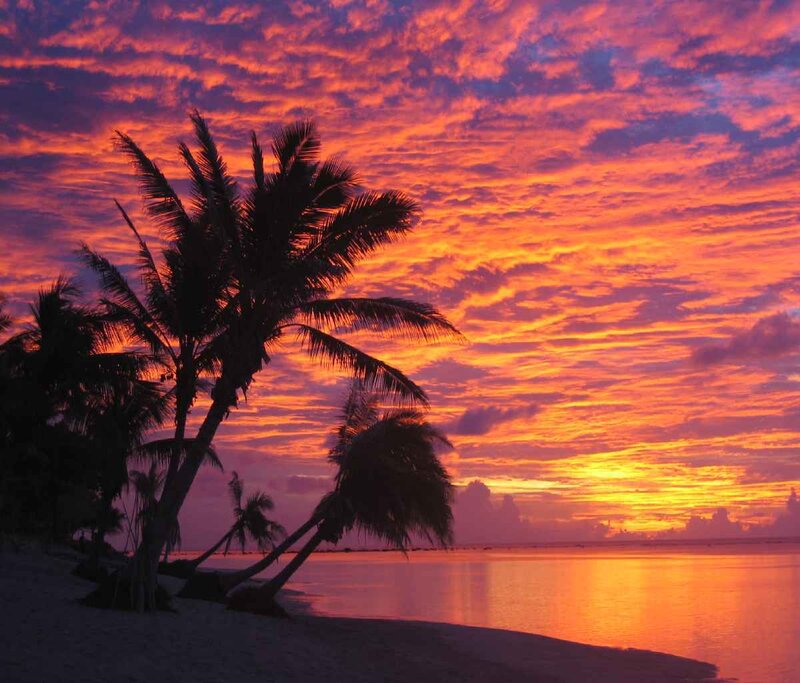 tropical sunset with palm trees