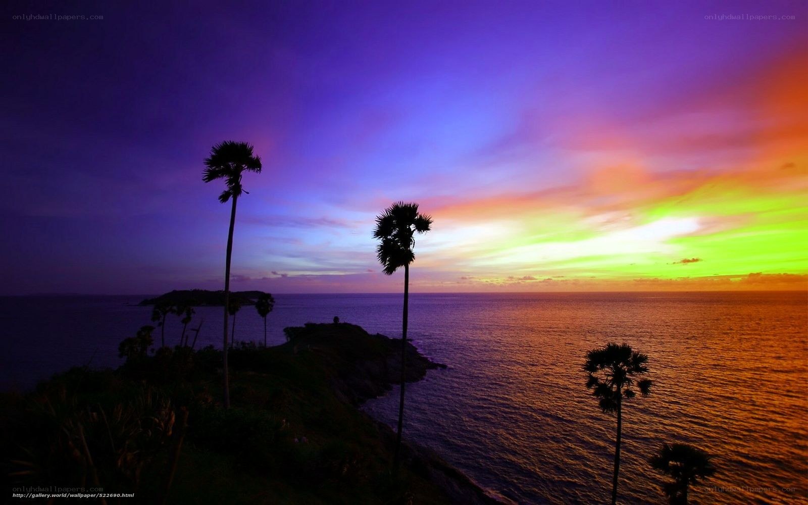 tropical sunset with palm trees