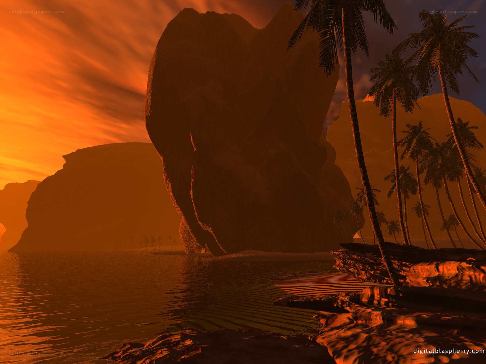 tropical sunset with palm trees
