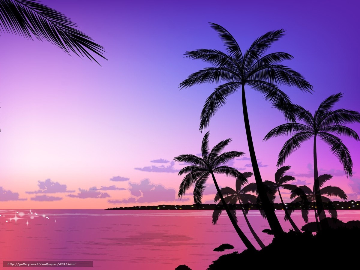 tropical sunset with palm trees