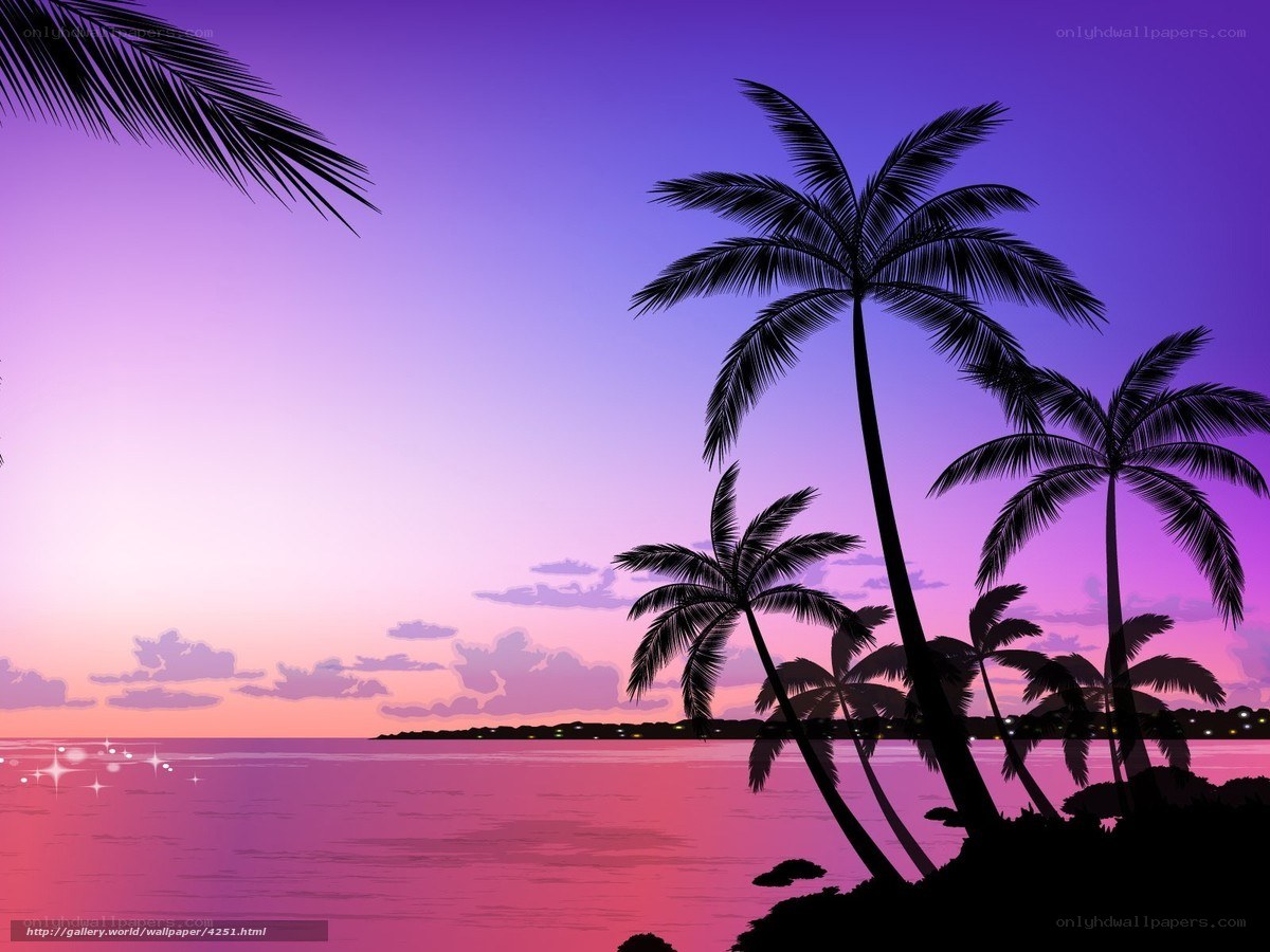 tropical sunset with palm trees