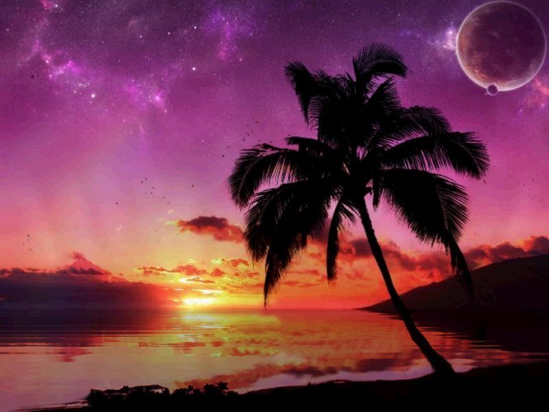 tropical sunset with planet