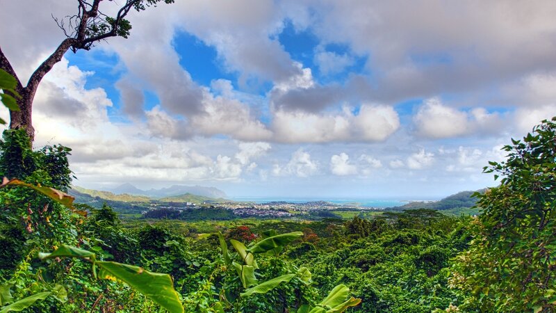 Tropical Valley Landscape — Green