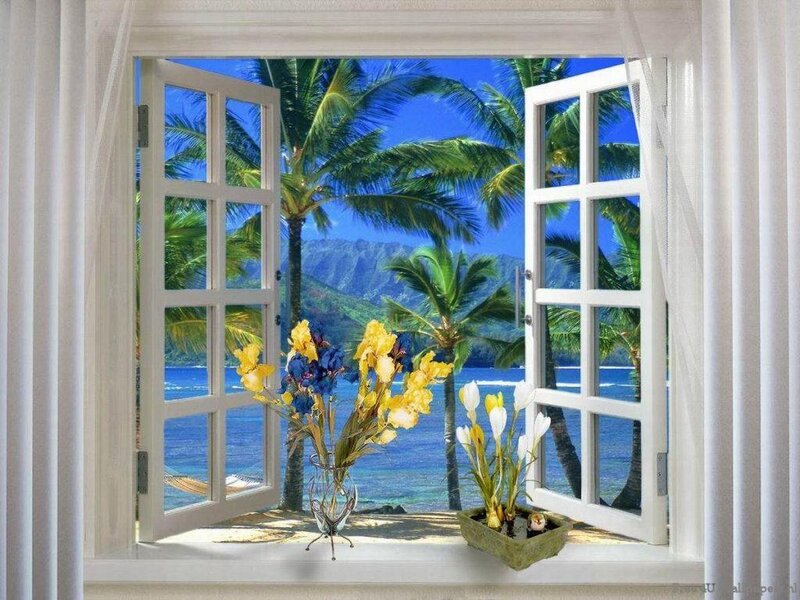 Tropical view from open window