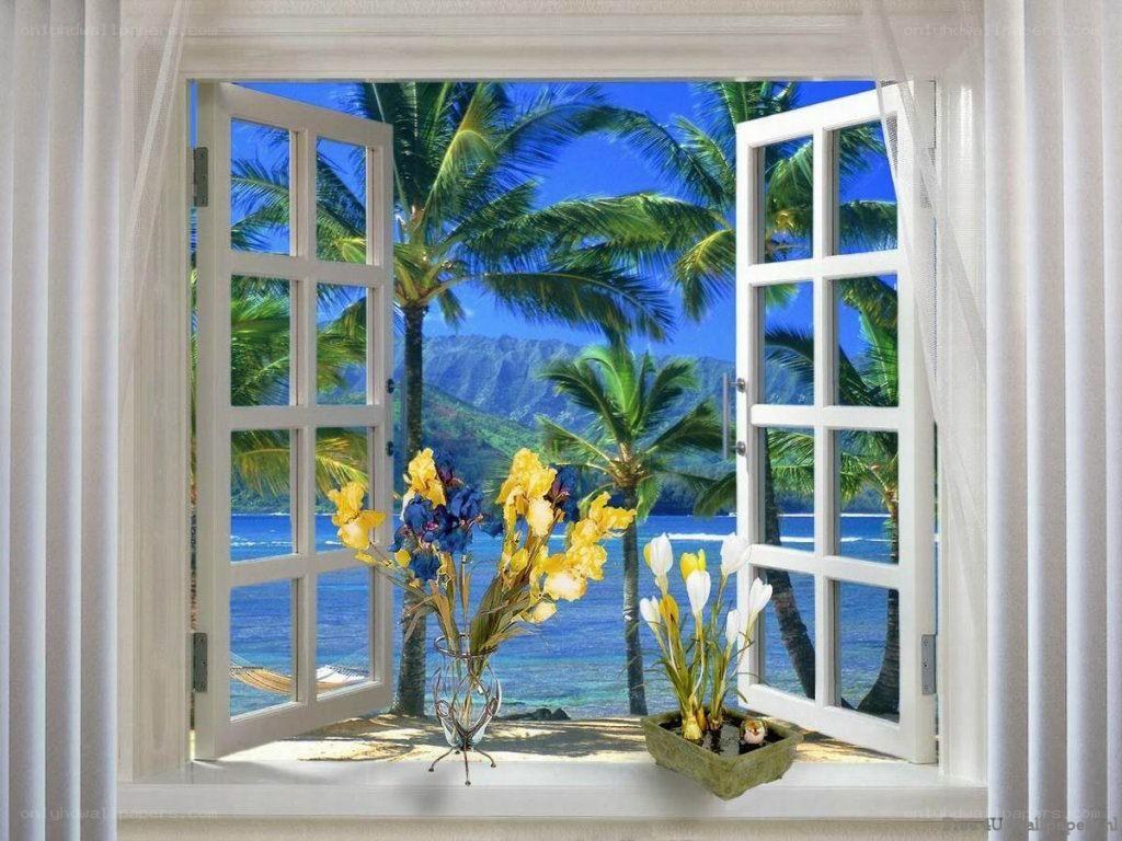 Tropical view from open window