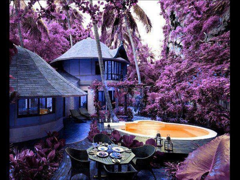 Tropical Villa with Pool — Purple
