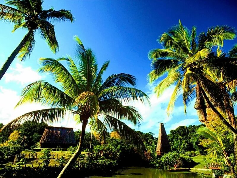 Tropical Village Scene