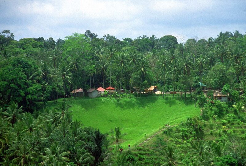 tropical village with rice fields