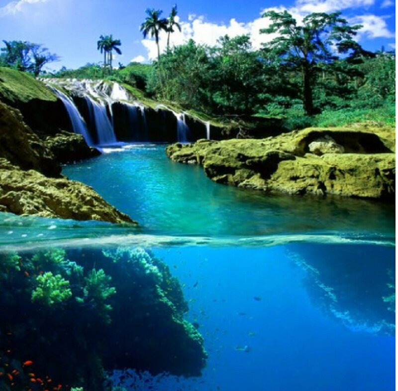 Tropical Waterfall and Pool