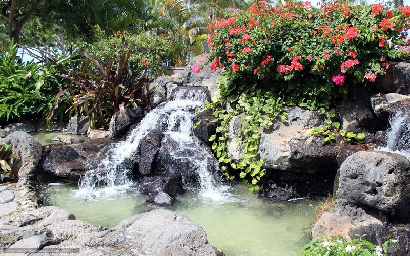 Tropical waterfall garden