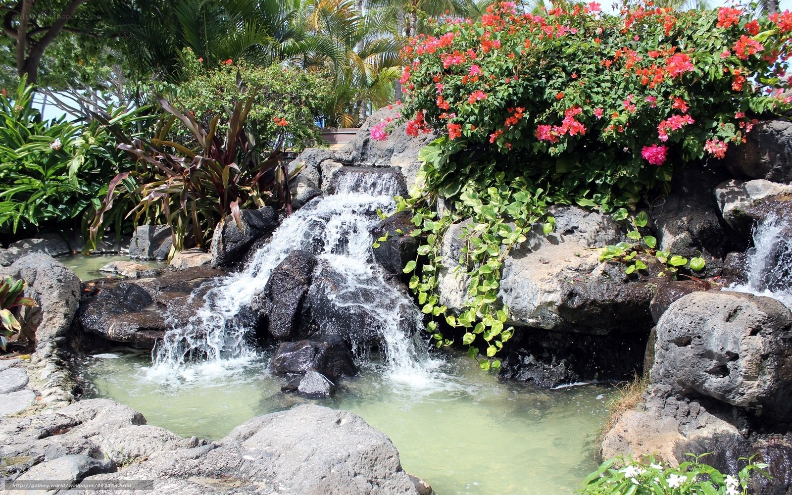Tropical waterfall garden