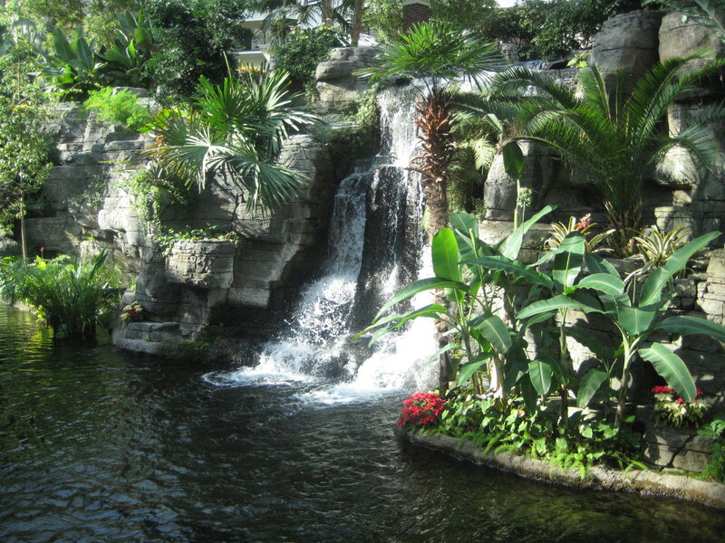 Tropical Waterfall Garden — Green, Serene, Afternoon, Photograph, Palm Trees