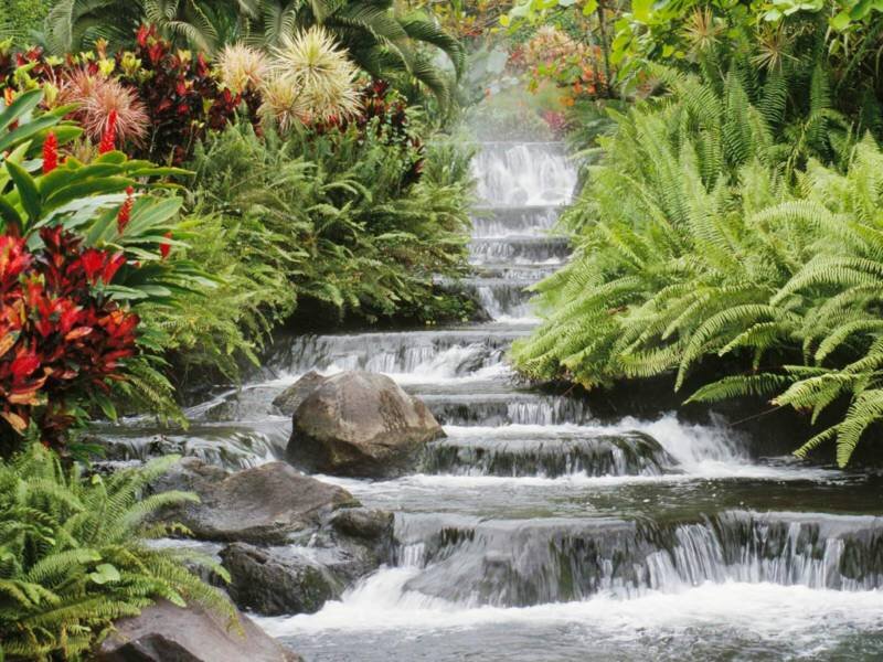 Tropical Waterfall Garden — Green, Serene, Afternoon