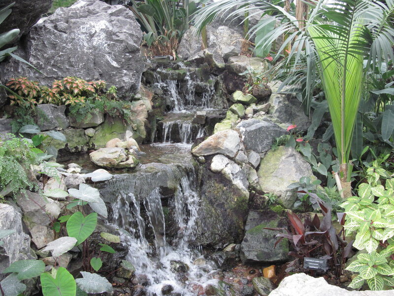 Tropical Waterfall Garden — Green, Serene, Photograph, Plants, Rocks