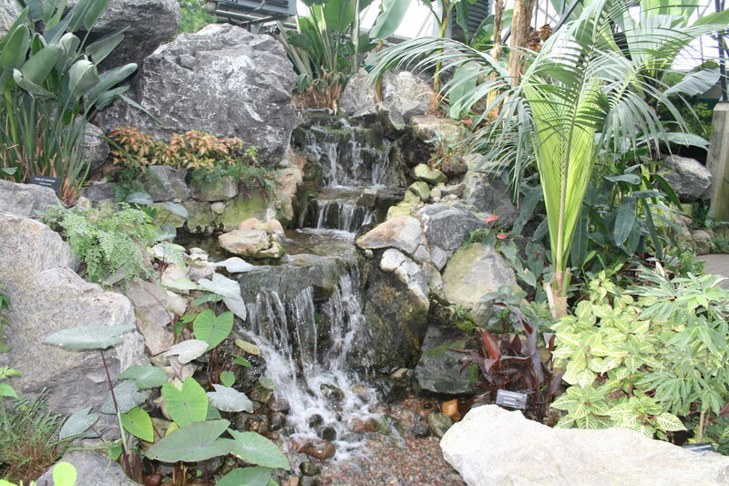 Tropical Waterfall Garden — Green, Serene, Photograph, Plants