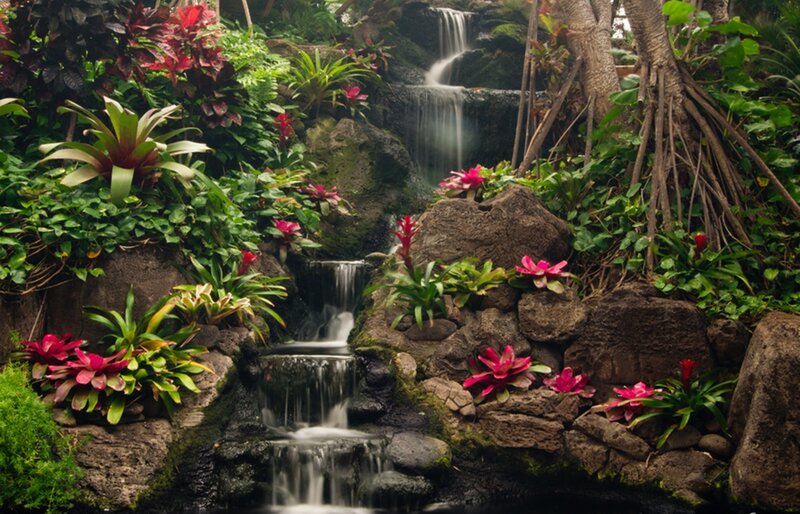 Tropical Waterfall Garden — Green, Serene, Photograph