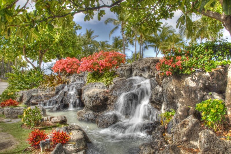 Tropical Waterfall Garden — Green, Serene