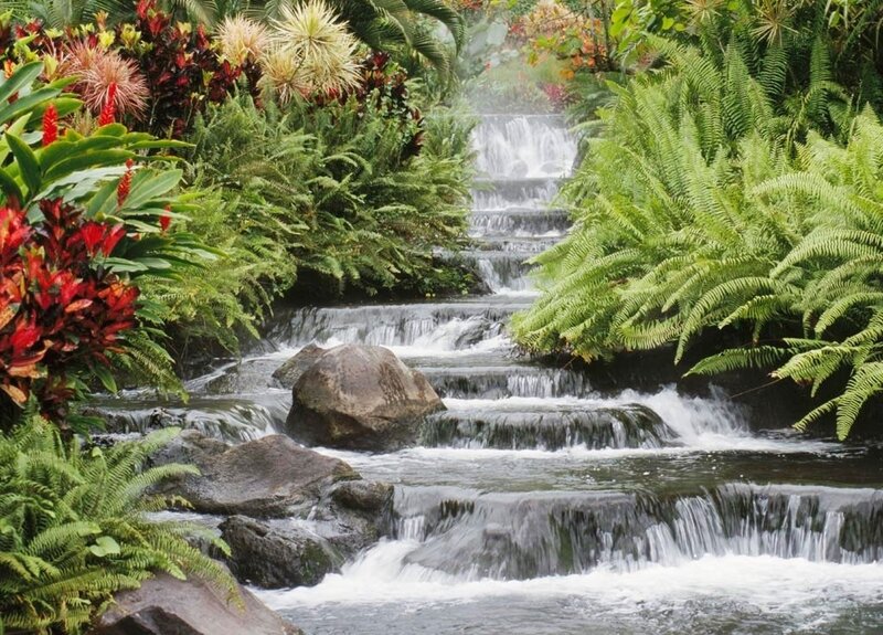 Tropical Waterfall Garden — Green