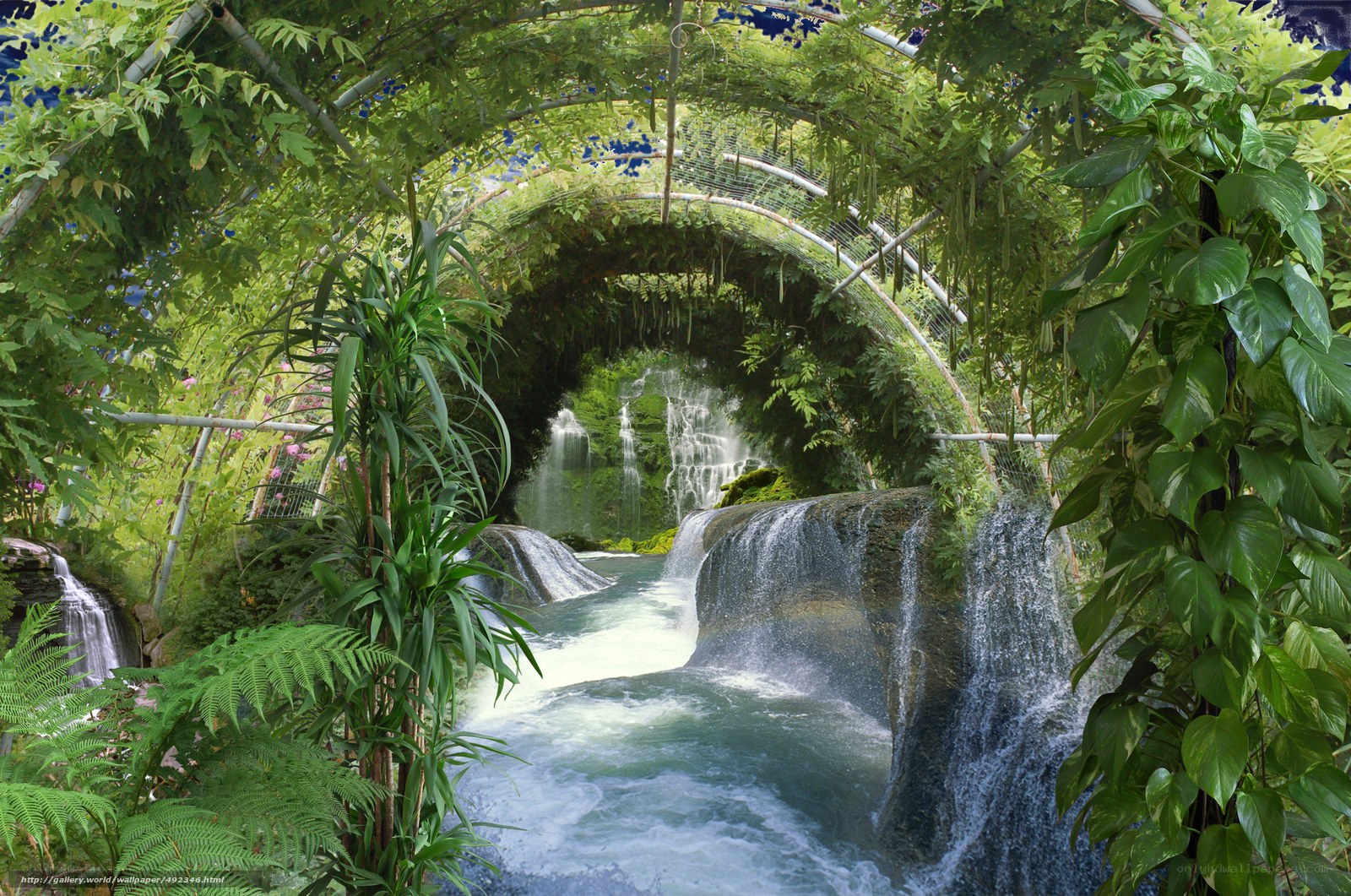Tropical waterfall garden