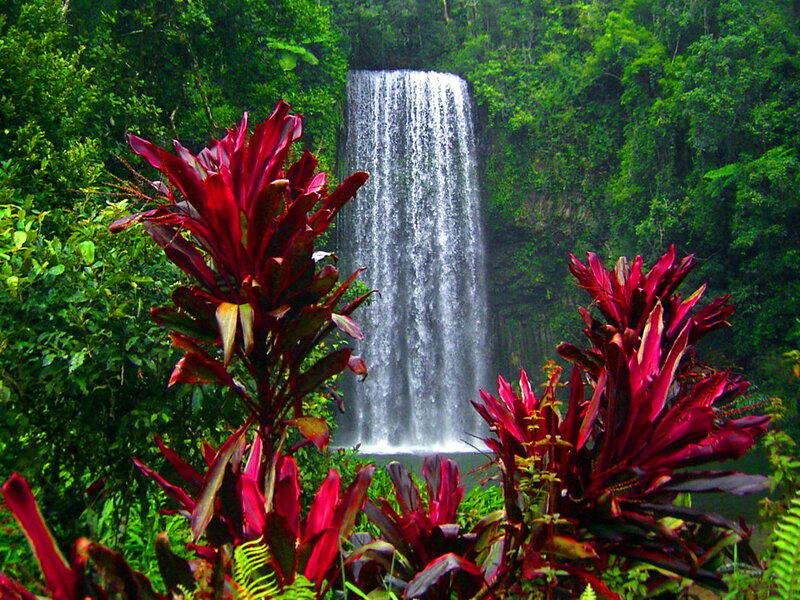 Tropical Waterfall — Green, Serene