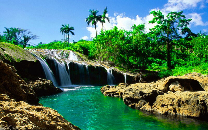 Tropical Waterfall — Green