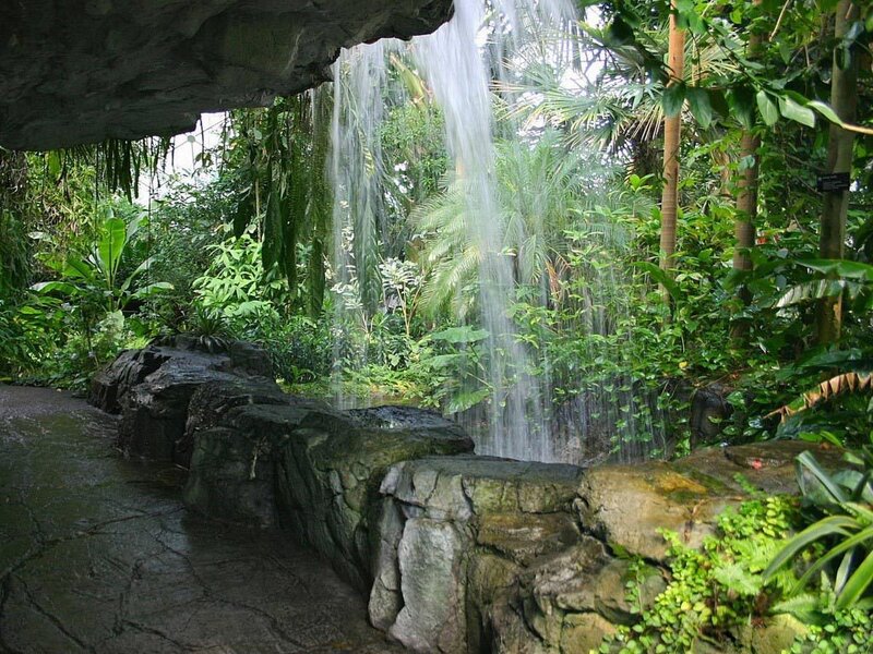 Tropical waterfall in a lush garden