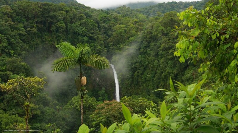 Tropical Waterfall in Forest — Green, Serene, Photograph