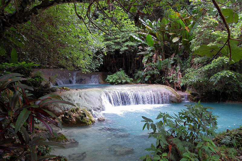 Tropical Waterfall in Jungle — Green