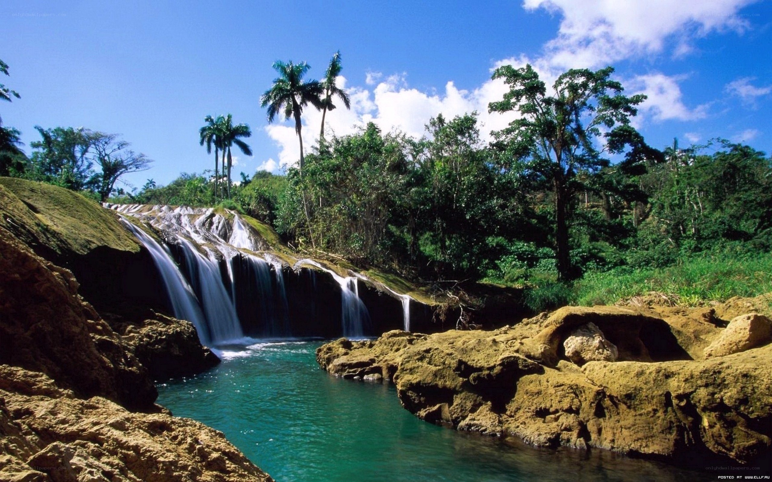 tropical waterfall in lush forest
