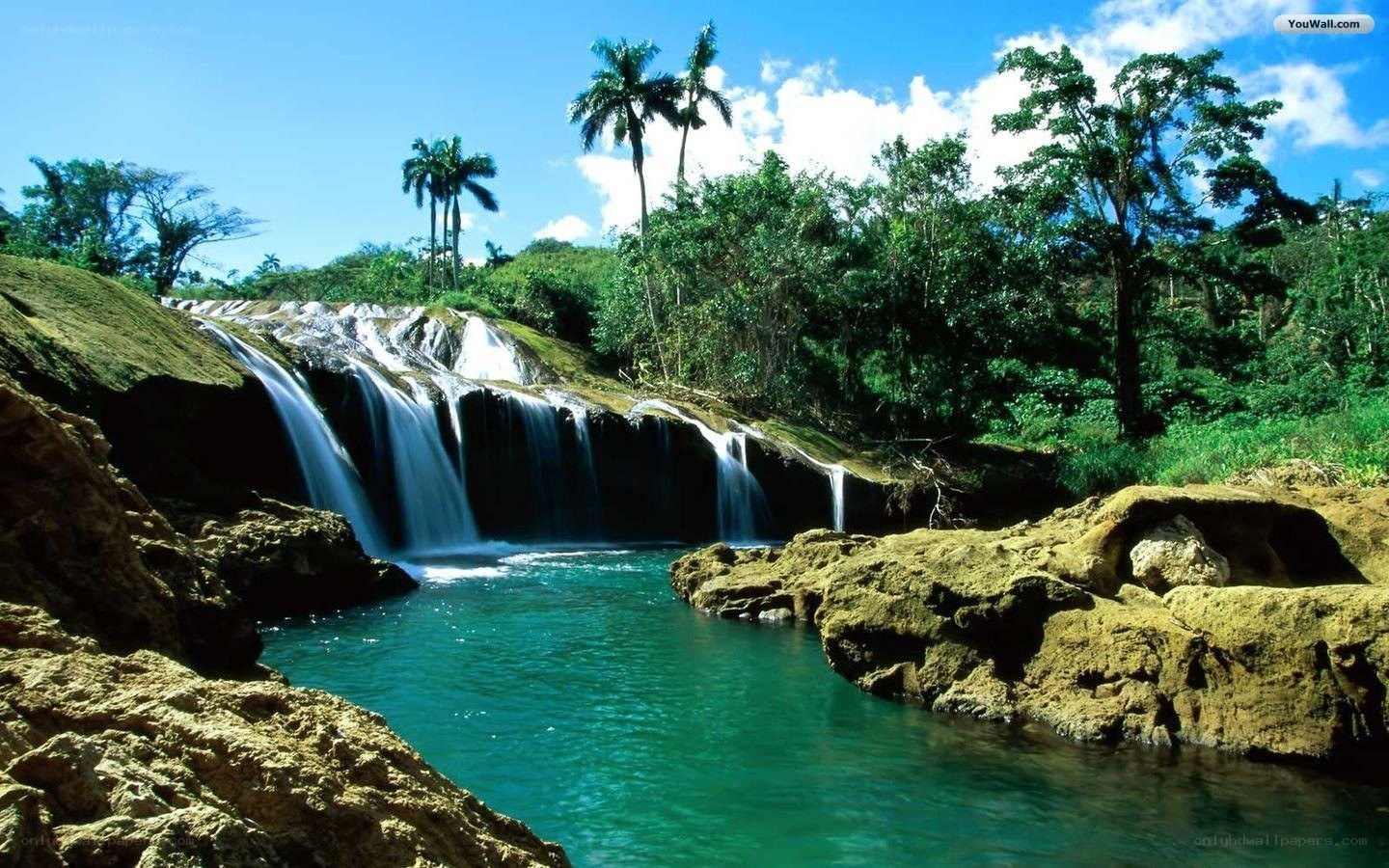 tropical waterfall in lush forest
