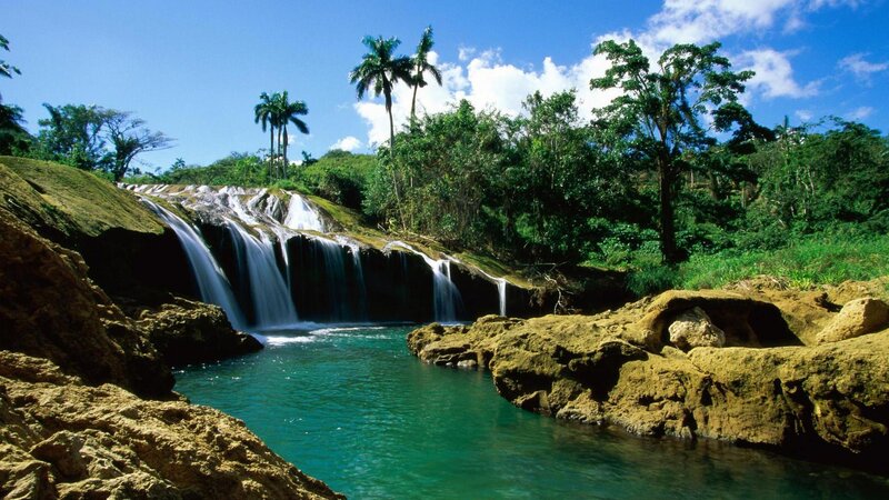 tropical waterfall in lush forest