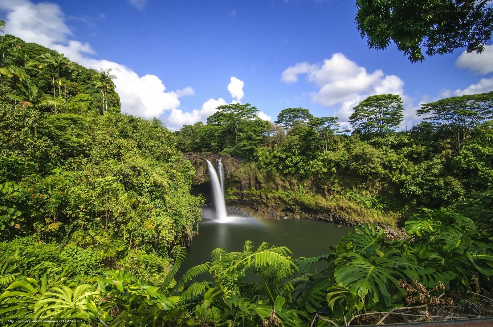 Tropical waterfall in lush forest