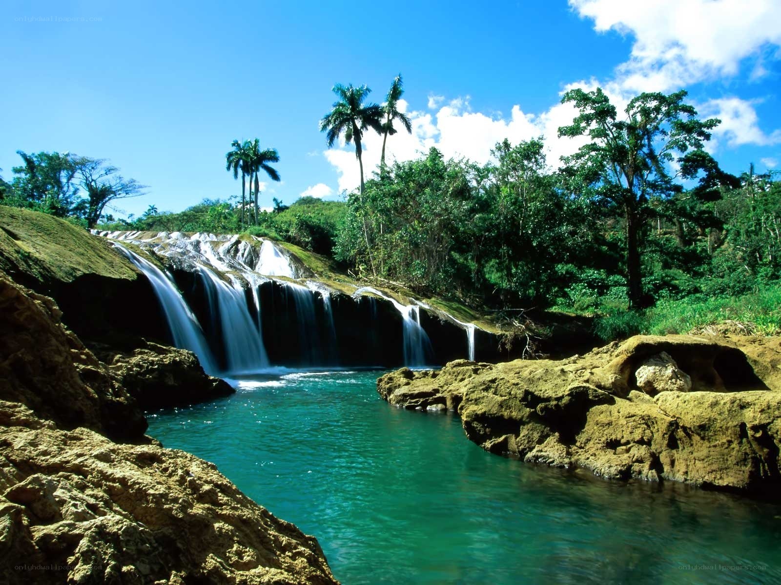 Tropical waterfall in lush forest