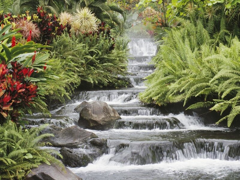 Tropical waterfall in lush garden