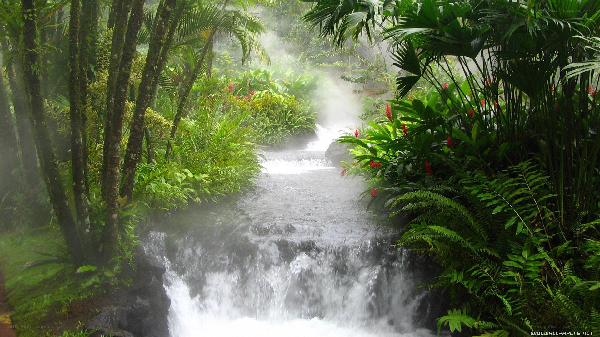Tropical waterfall in mist