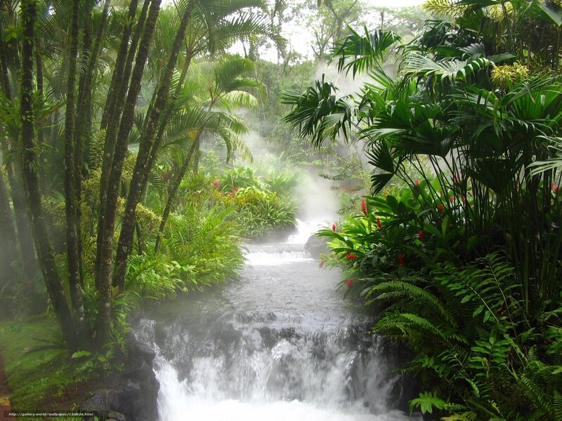 tropical waterfall in mist