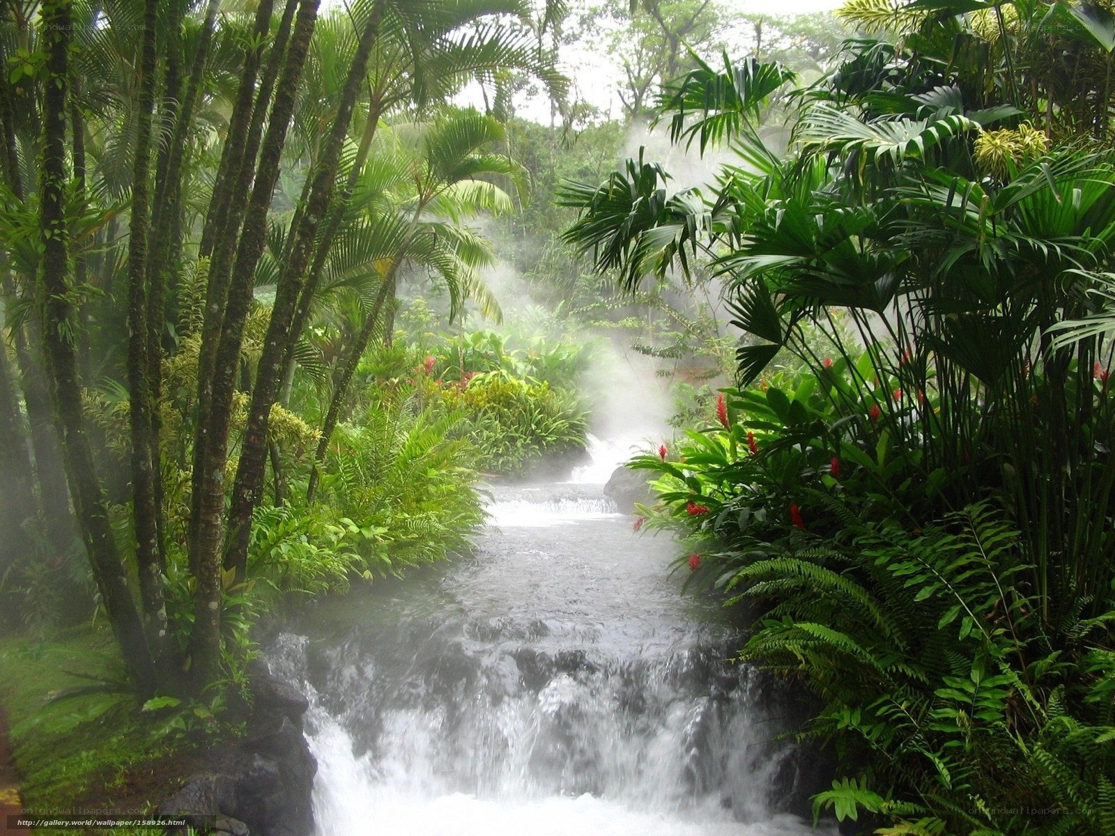 tropical waterfall in mist